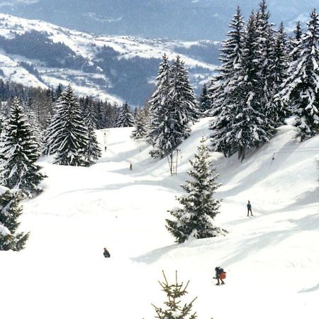 Woodland Village Anzere Ayent Exteriör bild